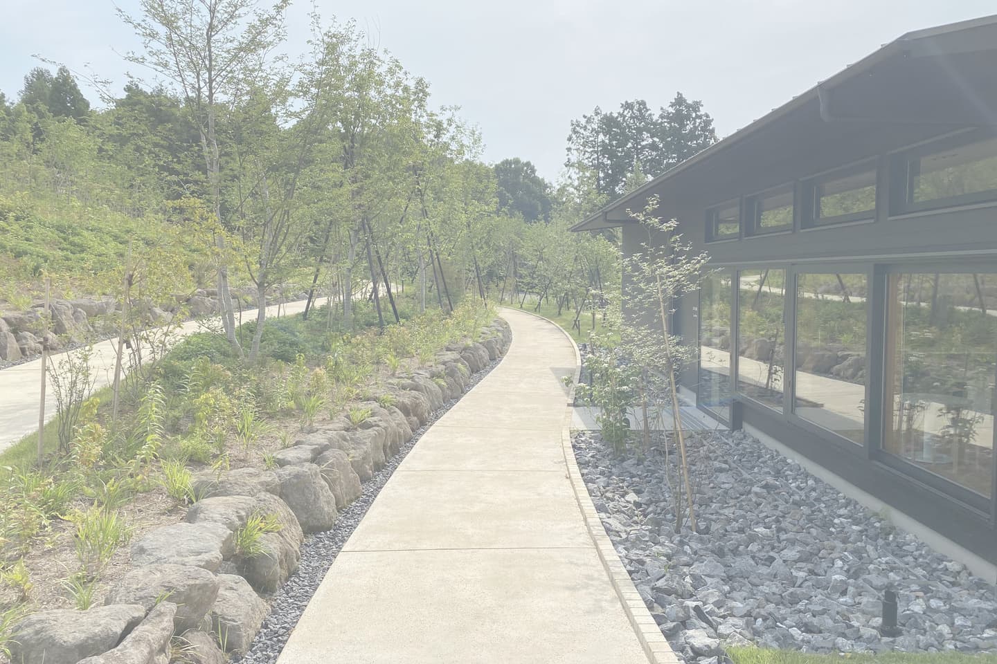 薬師池公園_湘南ロックガーデン