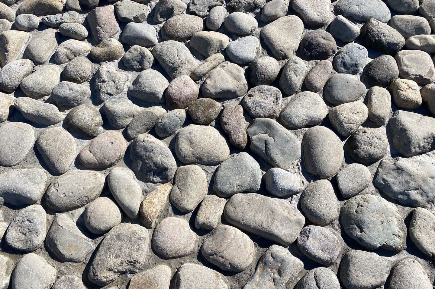 和田堀公園_渡良瀬ゴロタ_湘南ロックガーデン