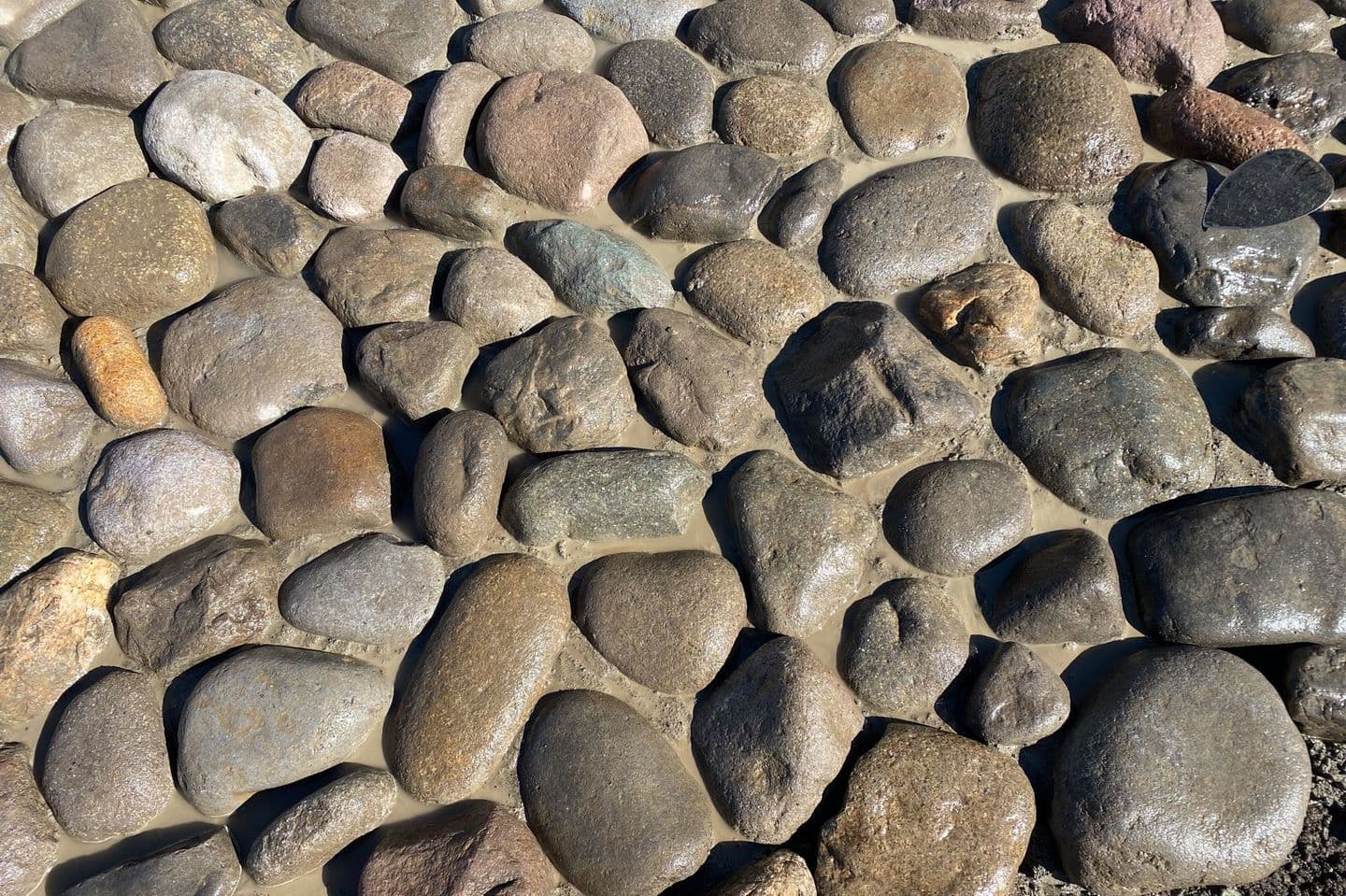 和田堀公園_渡良瀬ゴロタ_湘南ロックガーデン