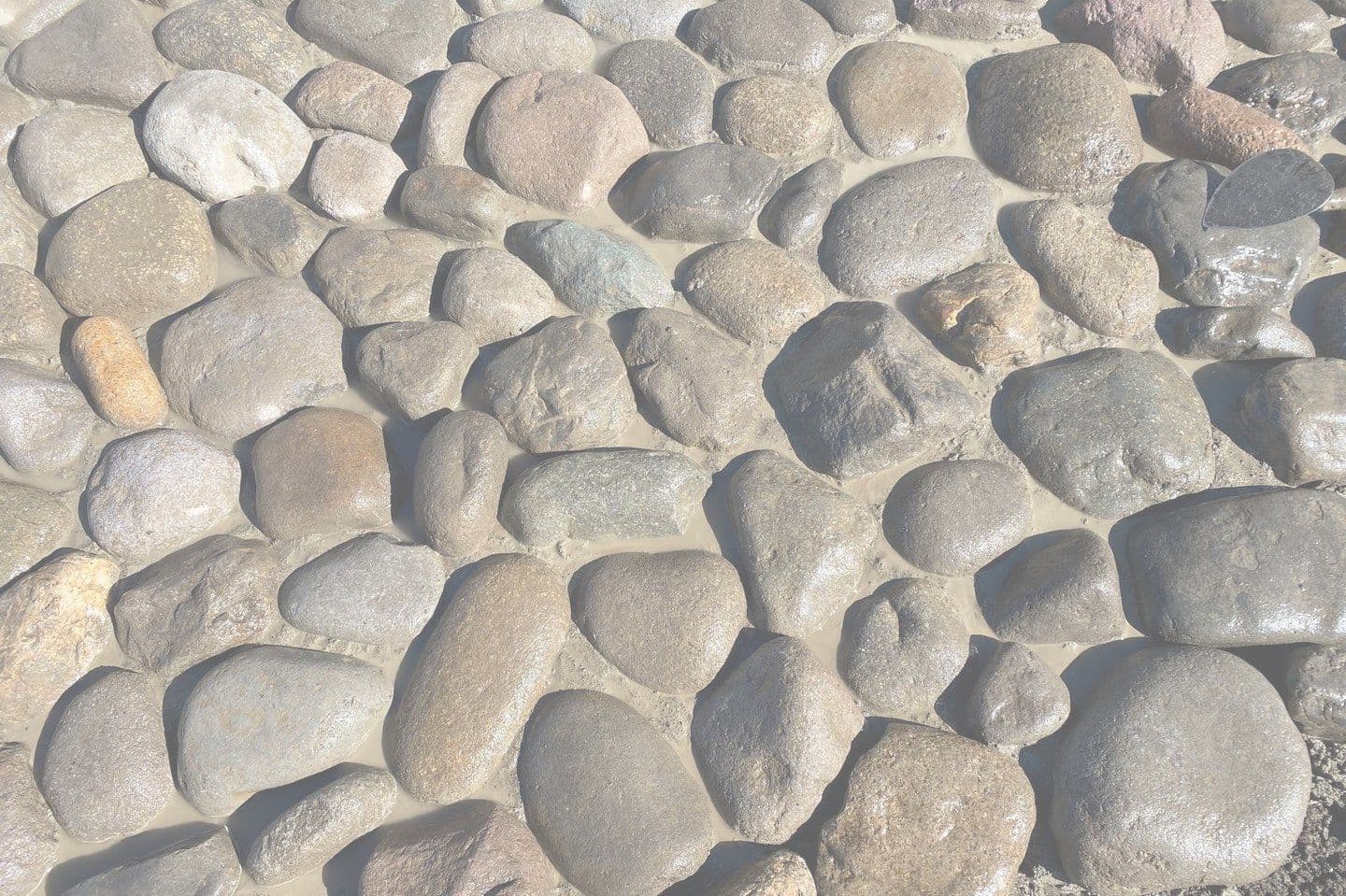 和田堀公園_渡良瀬ゴロタ_湘南ロックガーデン