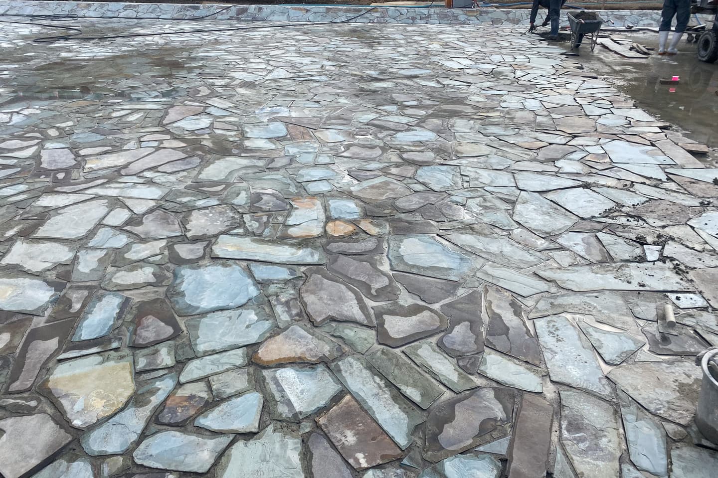 和田堀公園_緑石板_湘南ロックガーデン