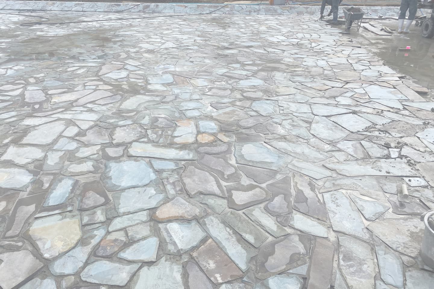 和田堀公園_緑石板_湘南ロックガーデン