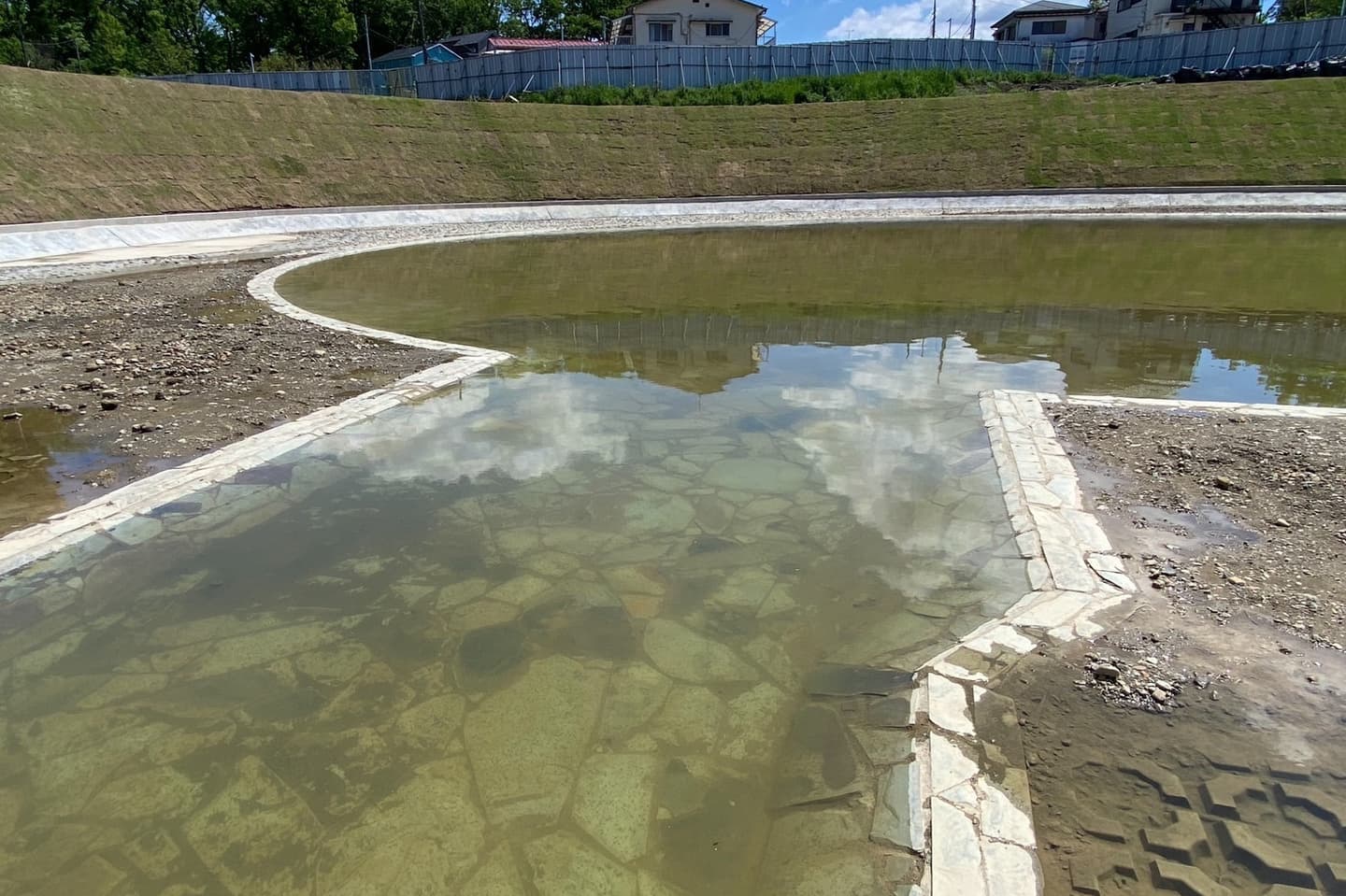 和田堀公園_湘南ロックガーデン