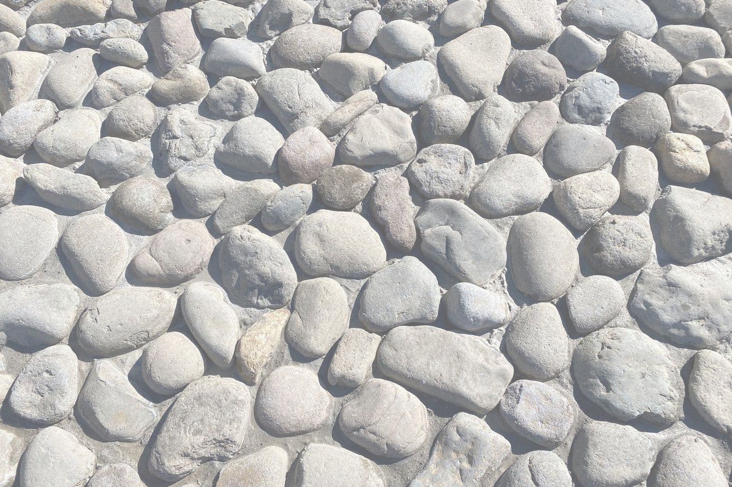 和田堀公園_渡良瀬ゴロタ_湘南ロックガーデン