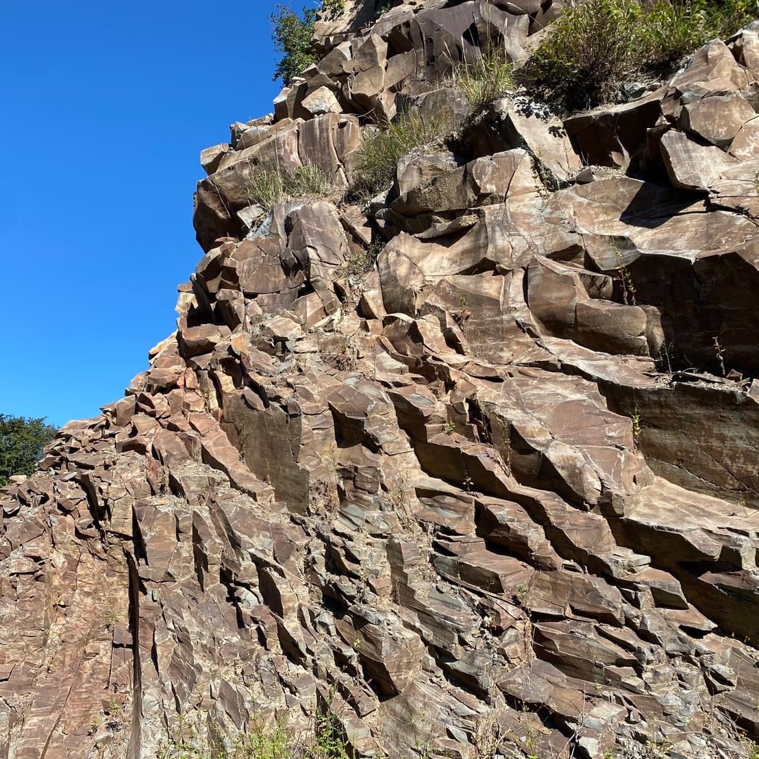 取扱商材_湘南ロックガーデン