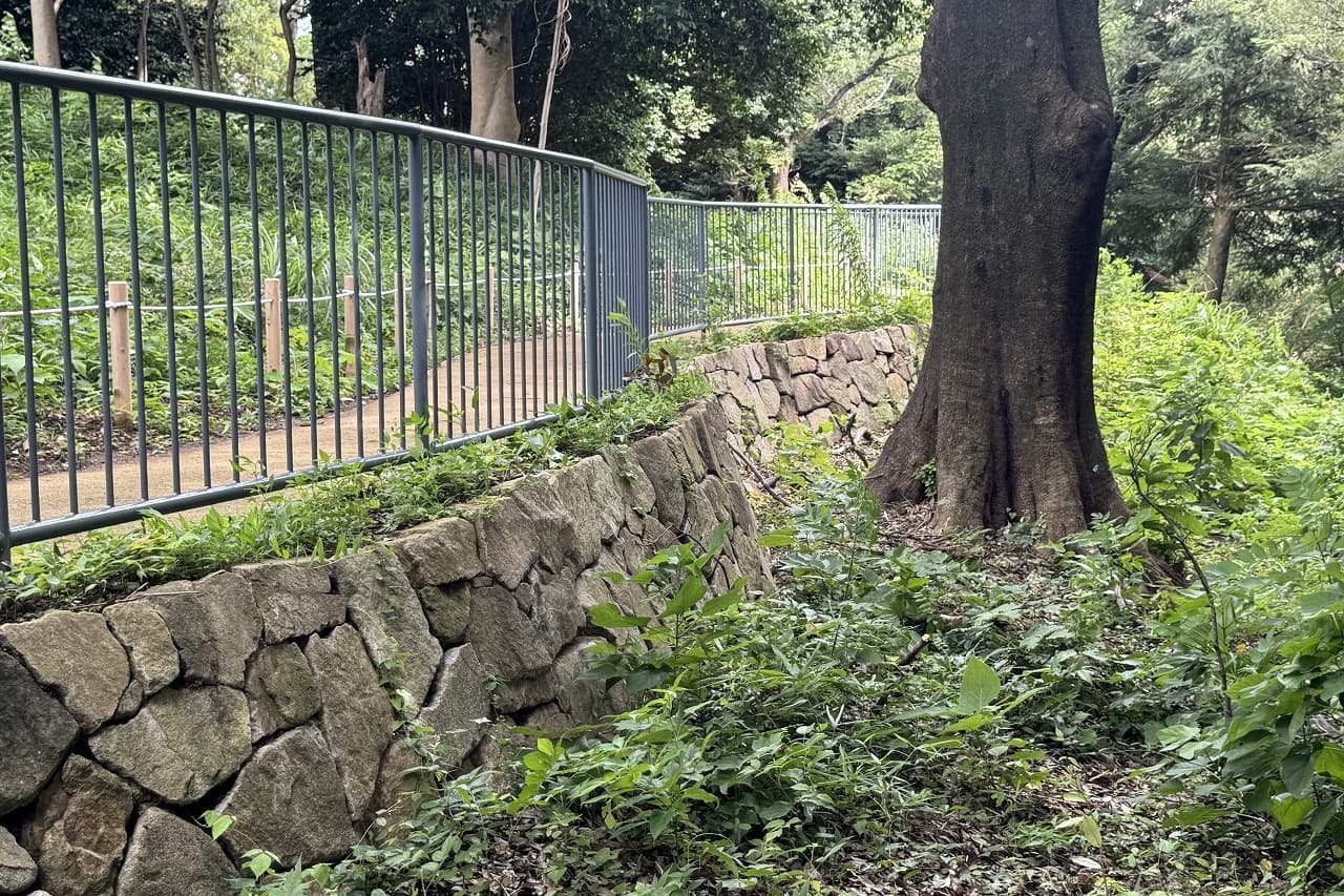 香山緑地_相木石_湘南ロックガーデン