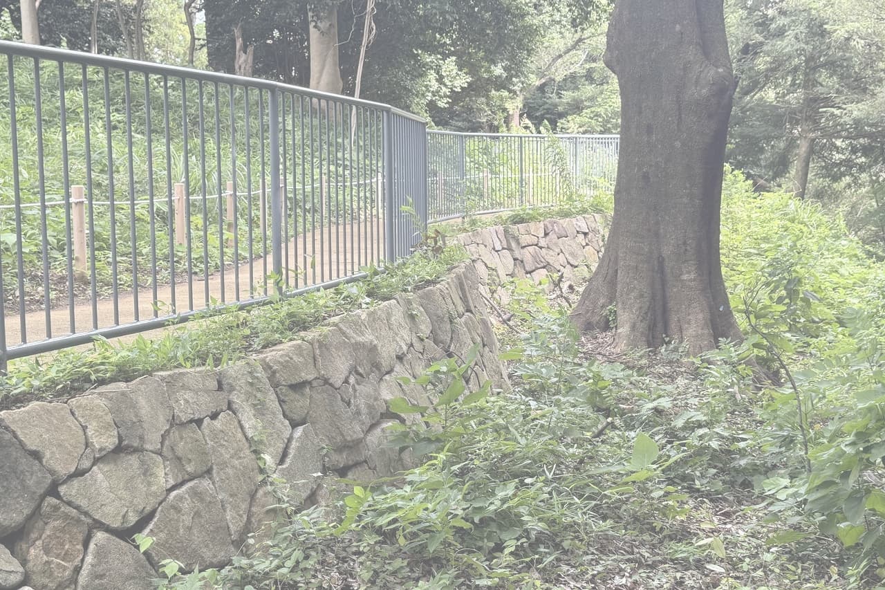 香山緑地_相木石_湘南ロックガーデン