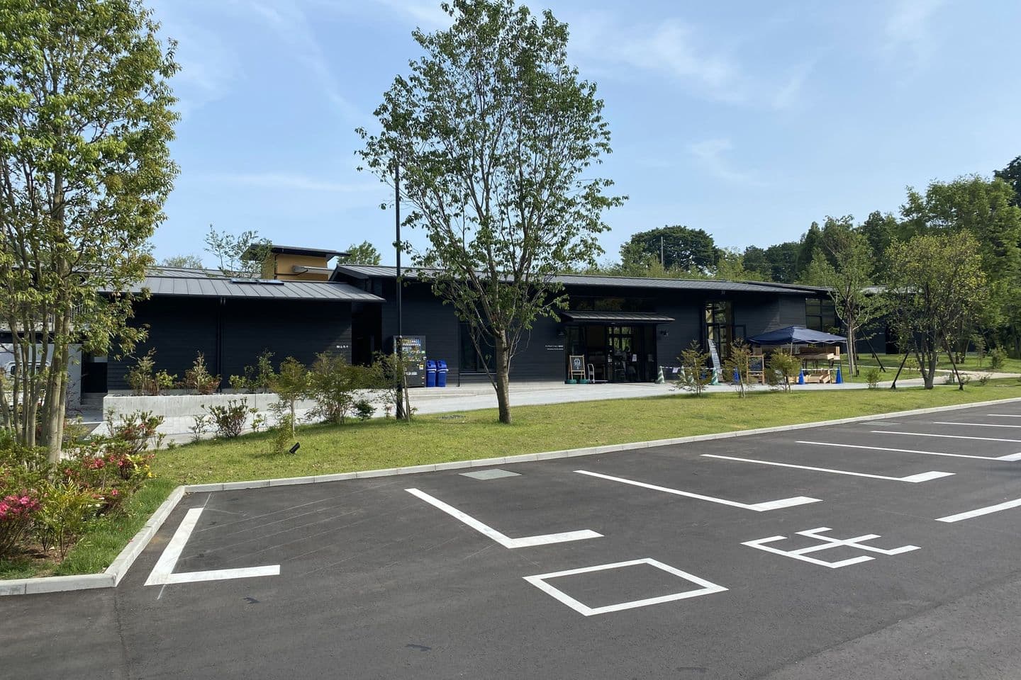 薬師池公園_湘南ロックガーデン