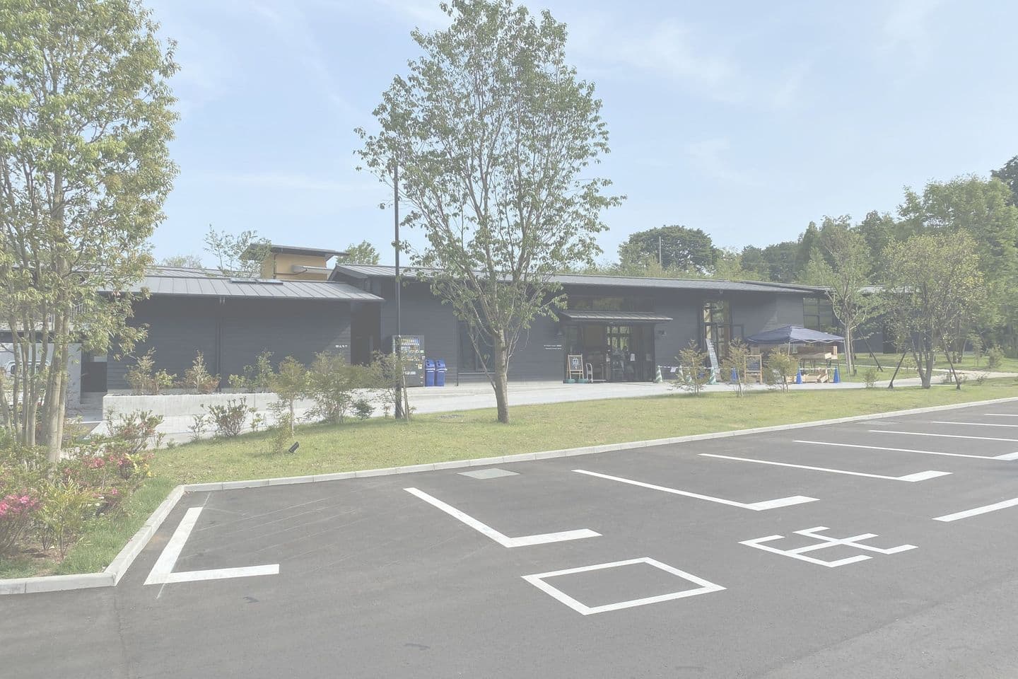 薬師池公園_湘南ロックガーデン