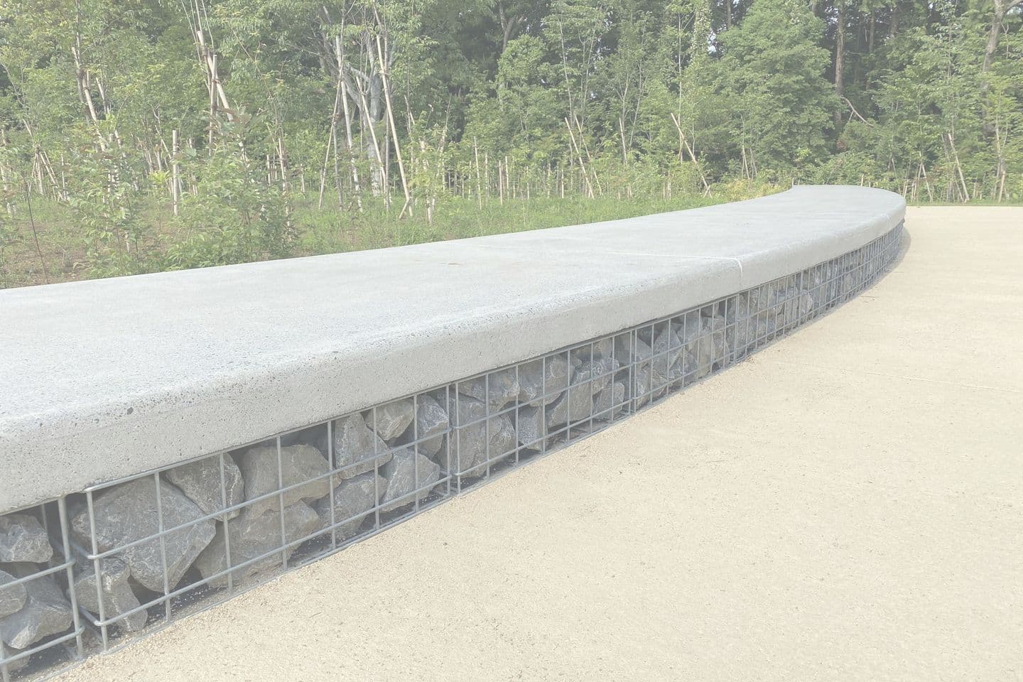 薬師池公園_湘南ロックガーデン