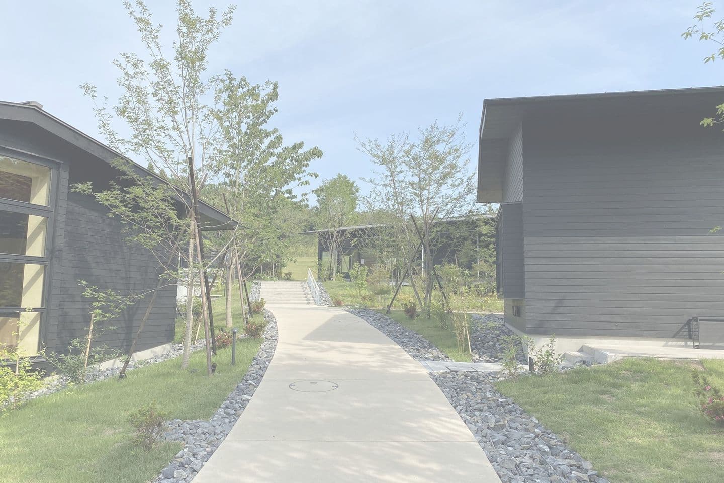 薬師池公園_湘南ロックガーデン