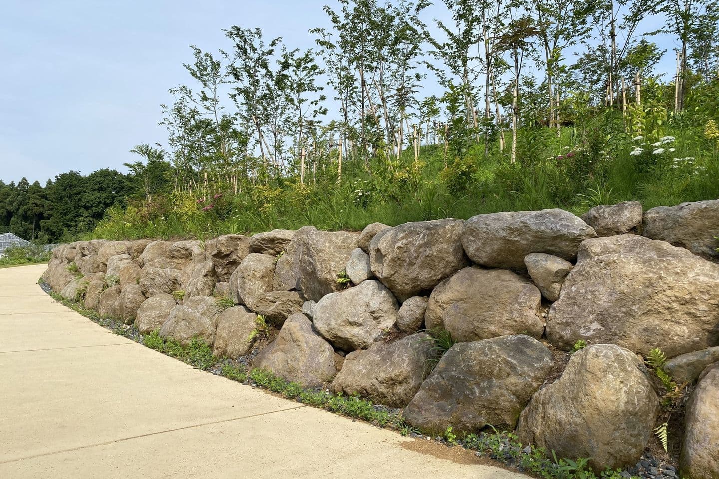 薬師池公園_湘南ロックガーデン