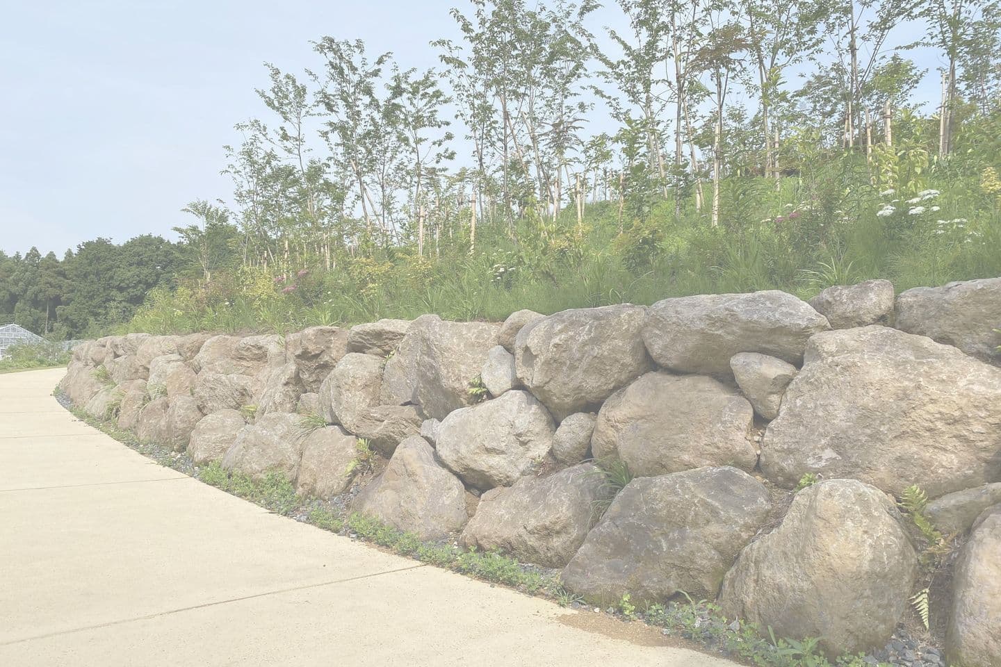 薬師池公園_湘南ロックガーデン