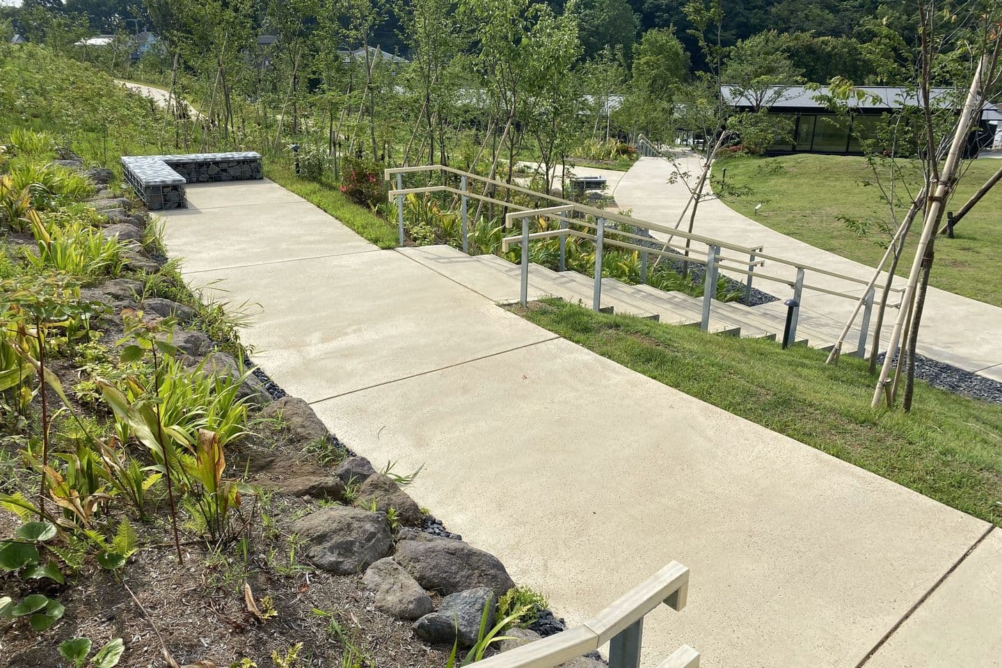 薬師池公園_湘南ロックガーデン