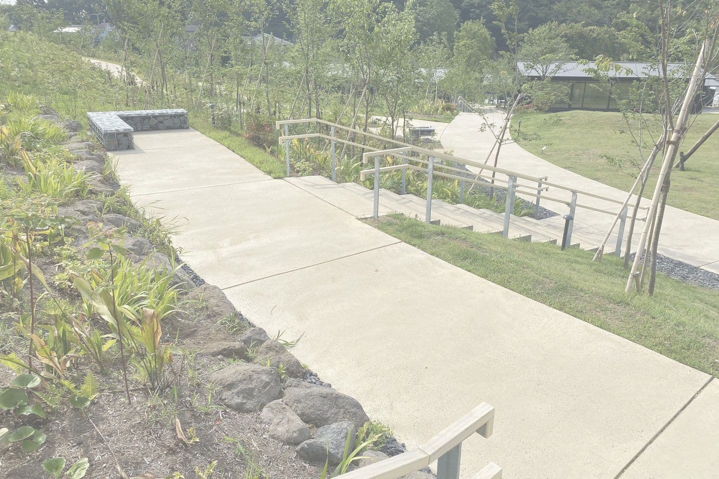 薬師池公園_湘南ロックガーデン