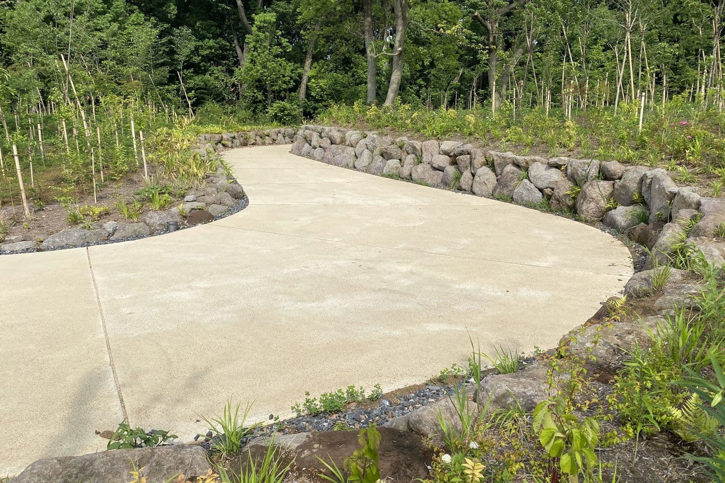 薬師池公園_湘南ロックガーデン