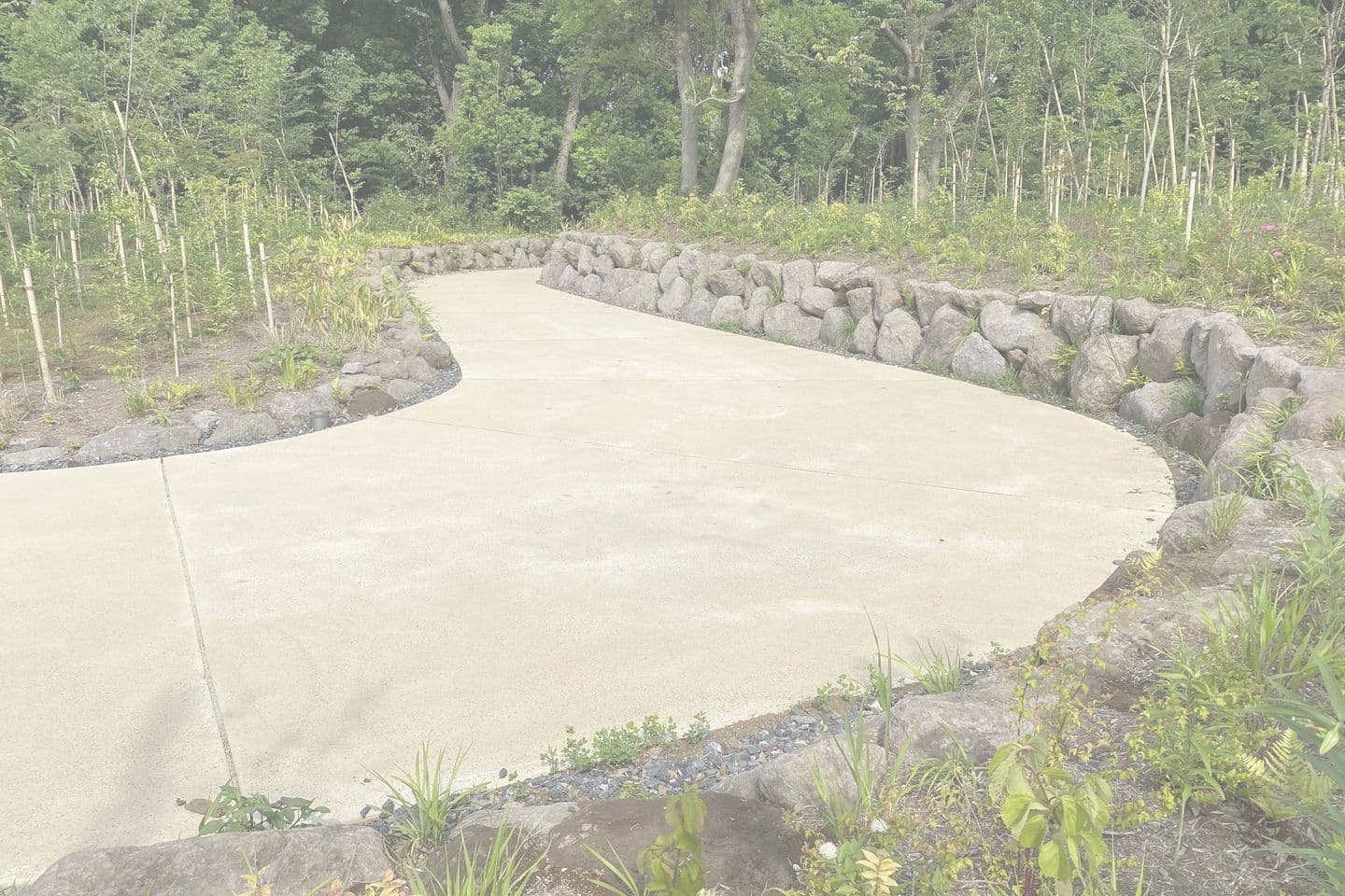 薬師池公園_湘南ロックガーデン