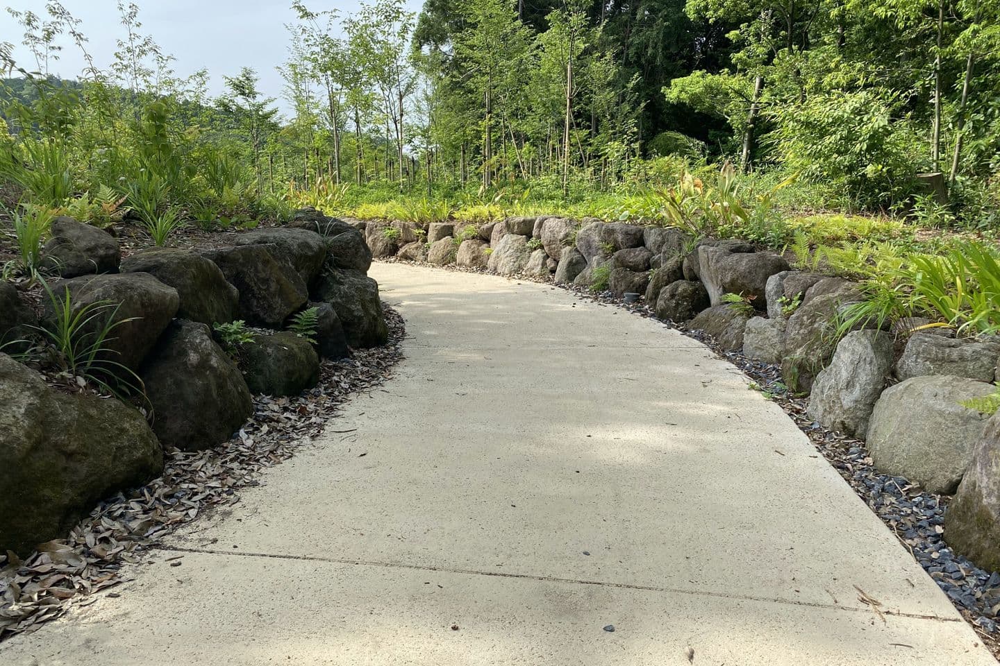 薬師池公園_湘南ロックガーデン