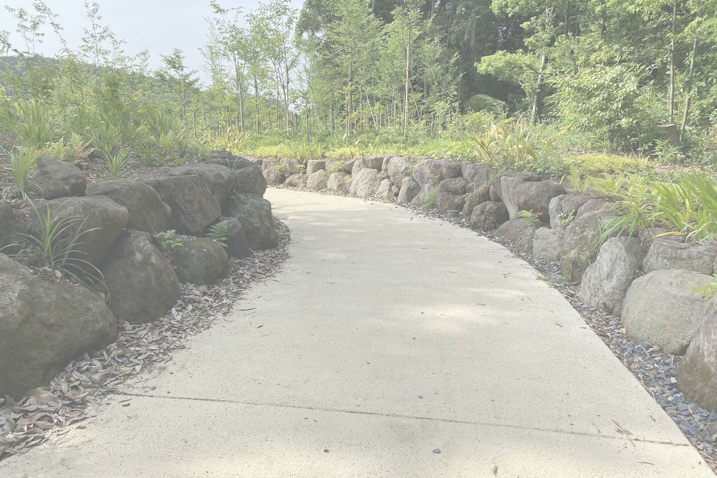 薬師池公園_湘南ロックガーデン