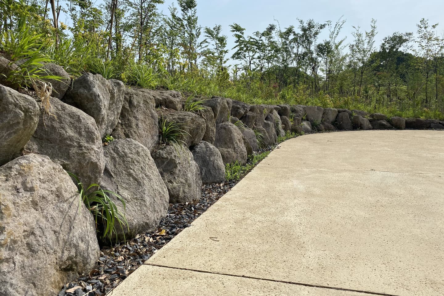 薬師池公園_湘南ロックガーデン