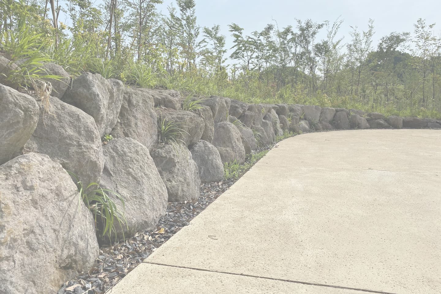 薬師池公園_湘南ロックガーデン