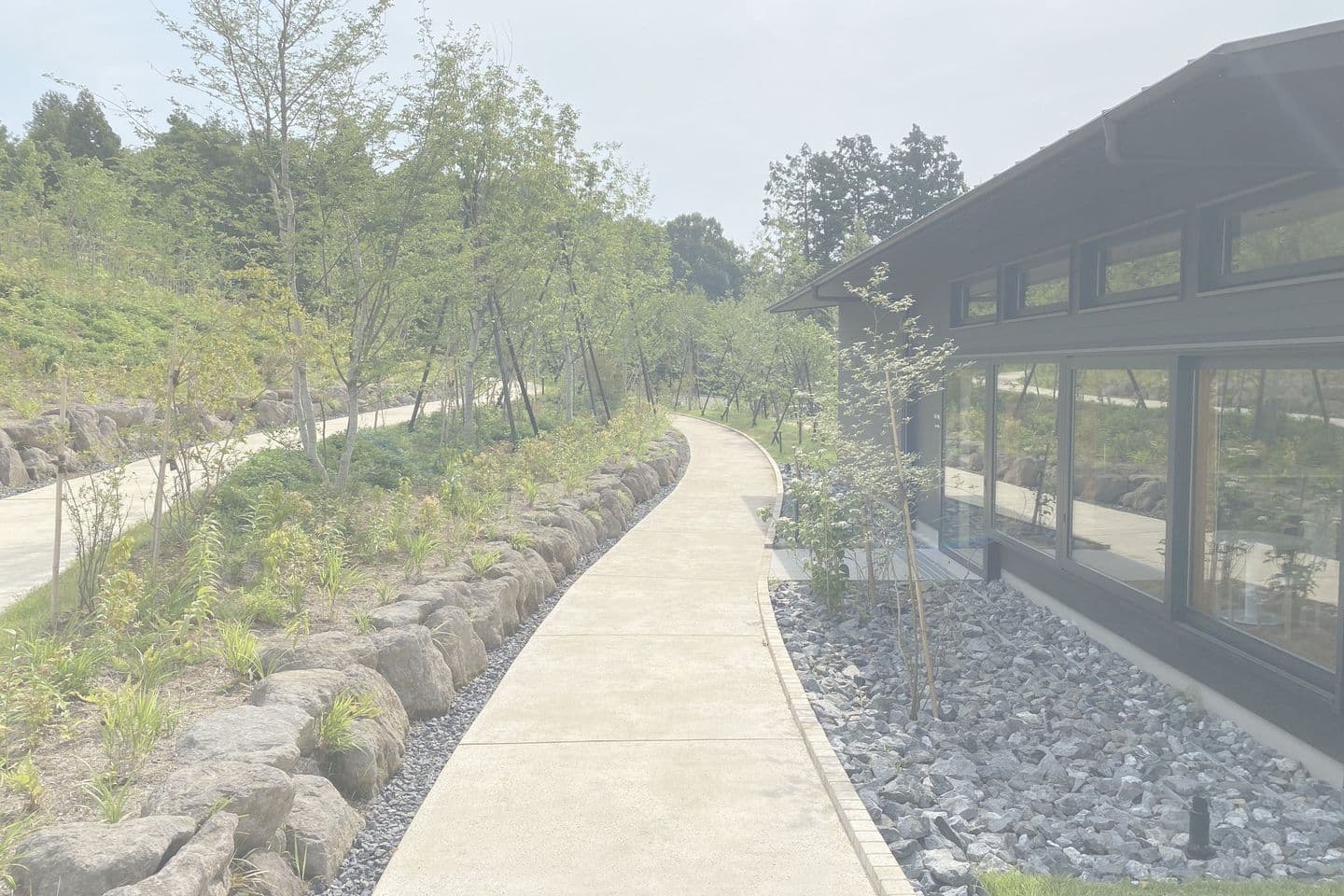 薬師池公園_湘南ロックガーデン