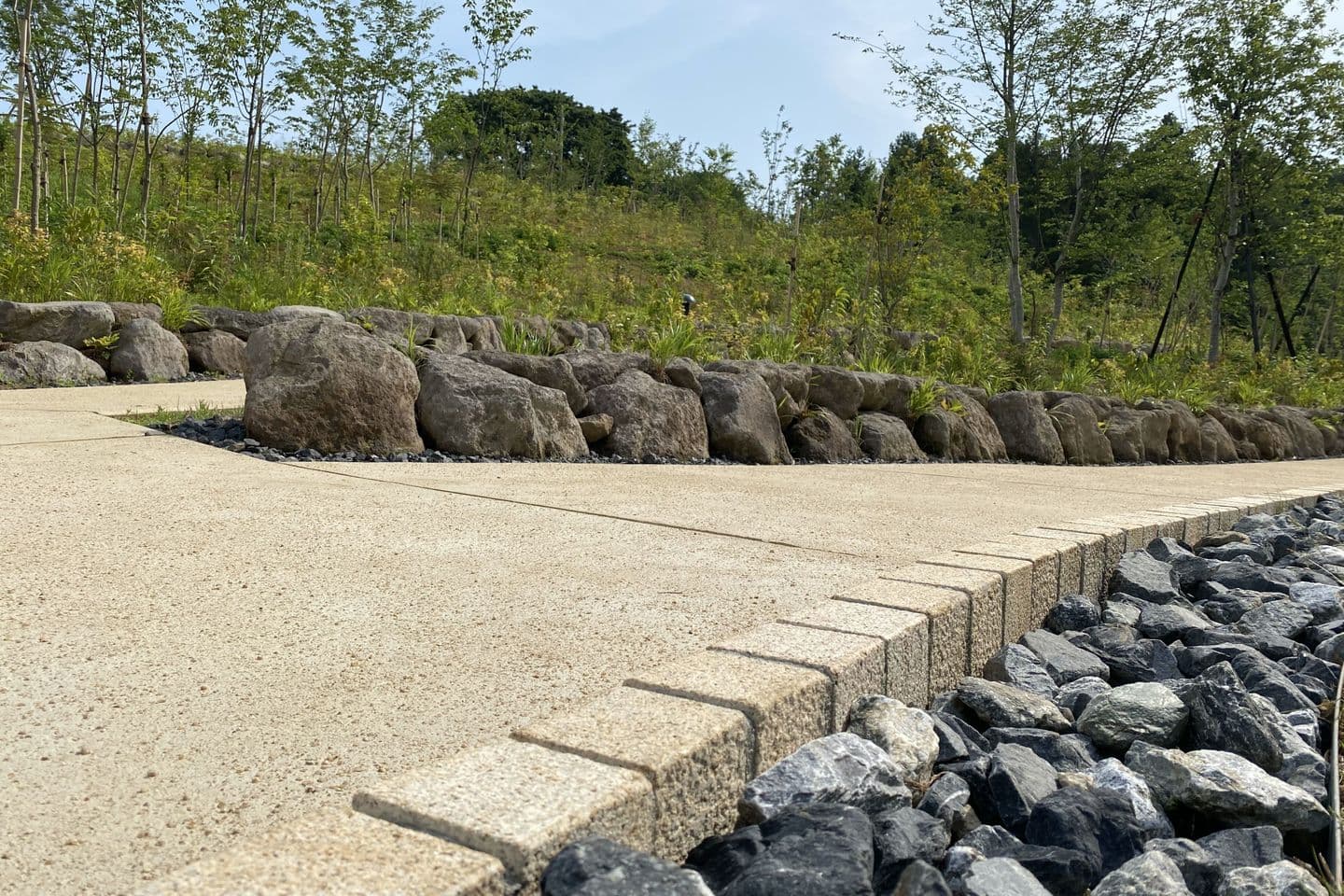 薬師池公園_湘南ロックガーデン