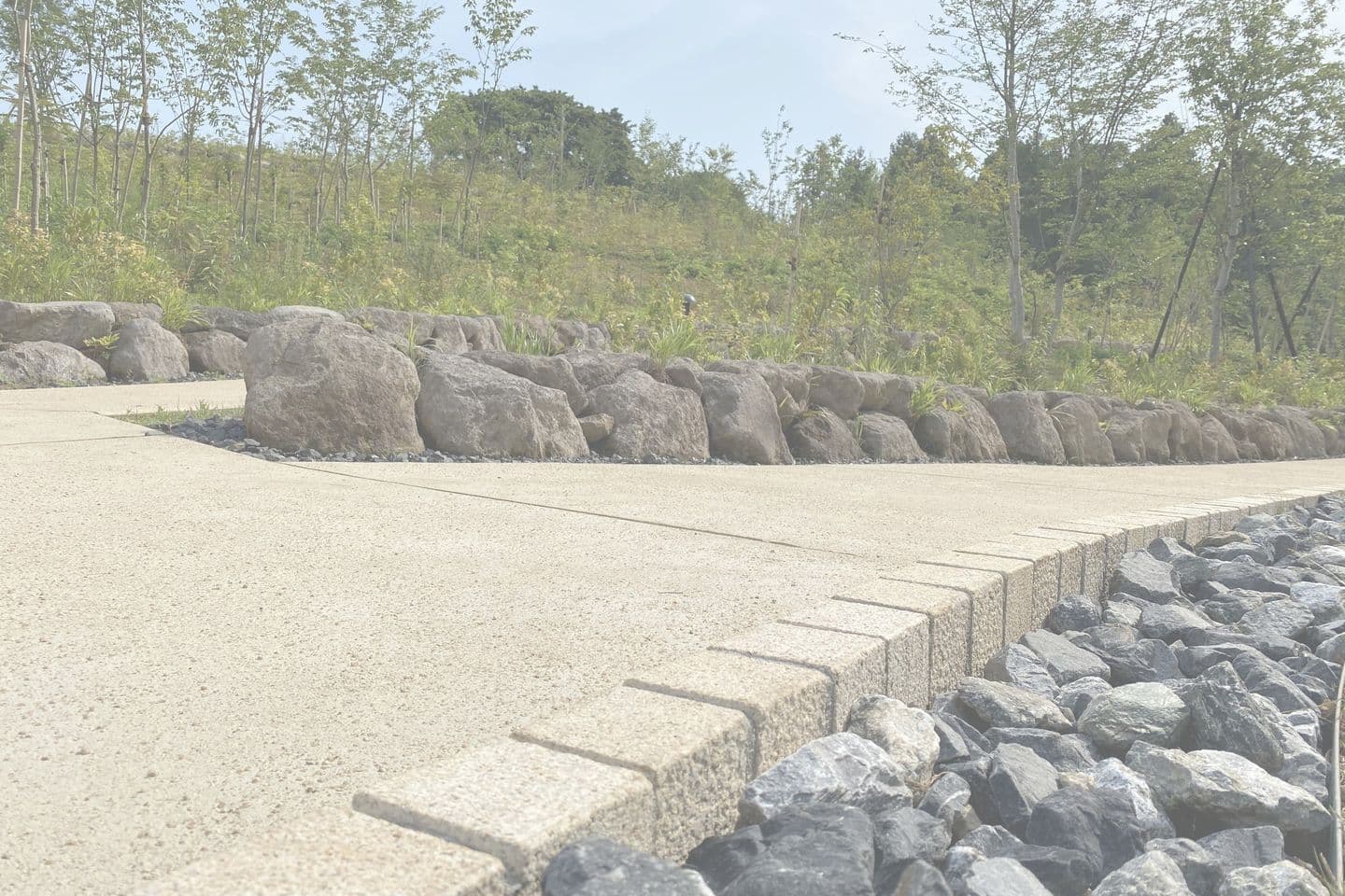 薬師池公園_湘南ロックガーデン