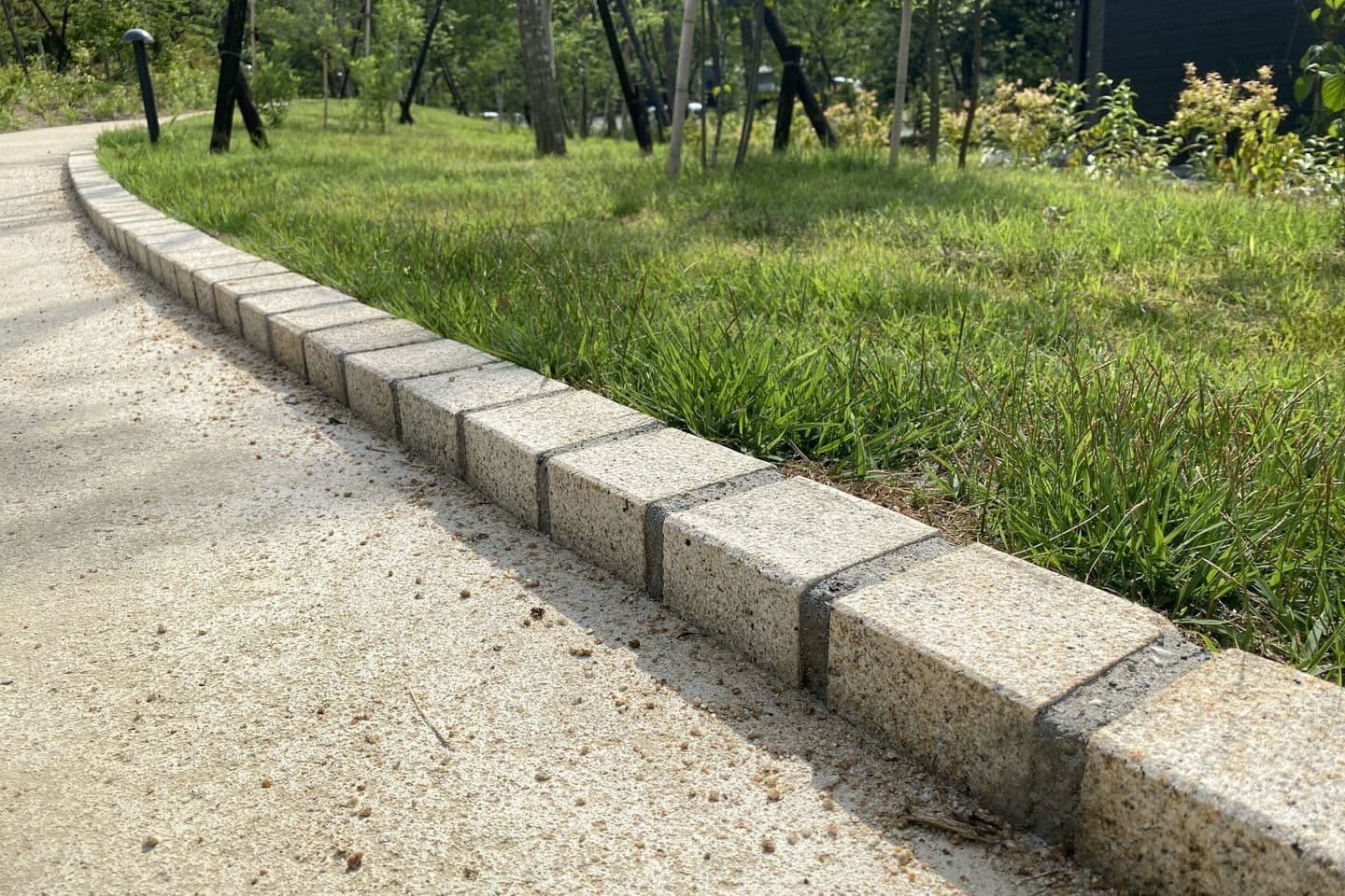 薬師池公園_湘南ロックガーデン