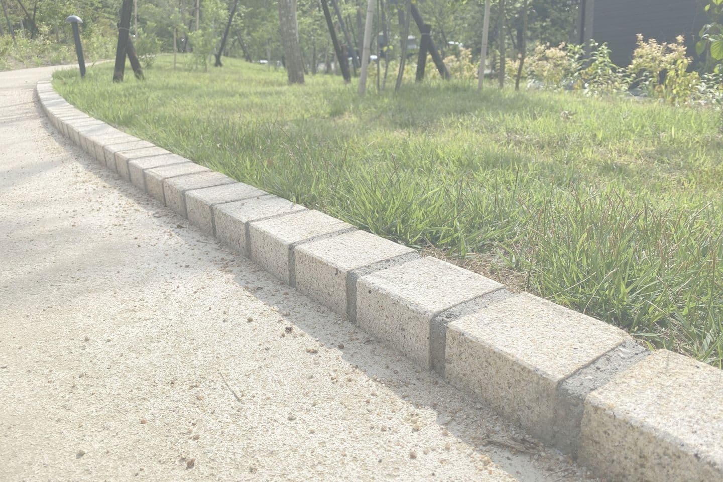 薬師池公園_湘南ロックガーデン