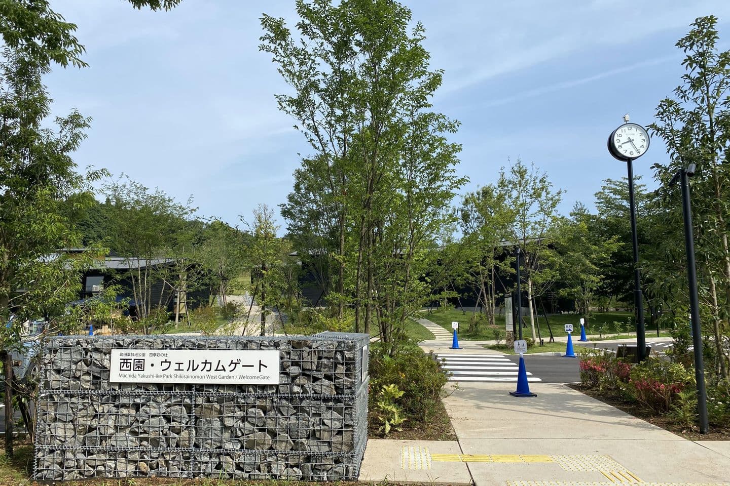 薬師池公園_湘南ロックガーデン