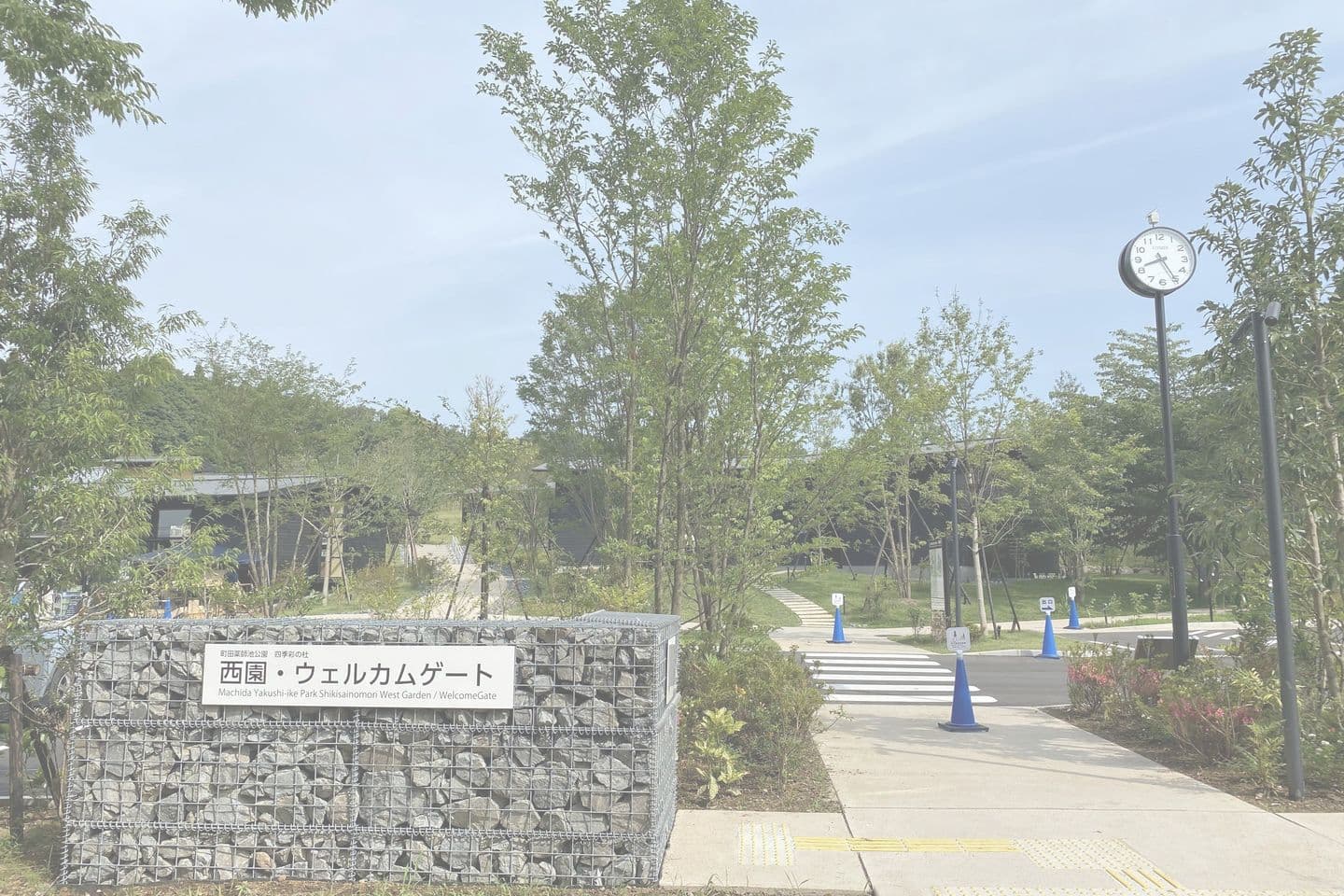 薬師池公園_湘南ロックガーデン