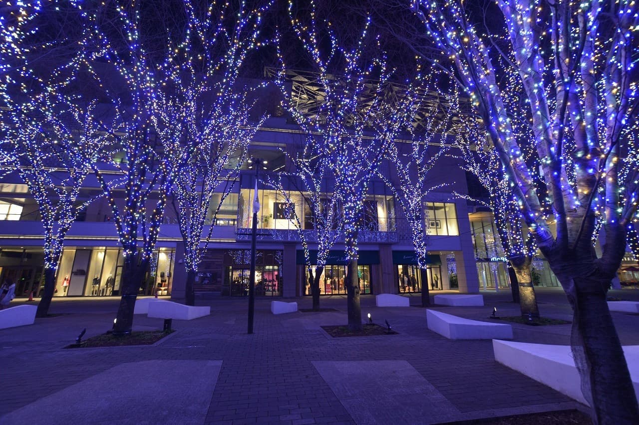 グランモール公園_湘南ロックガーデン