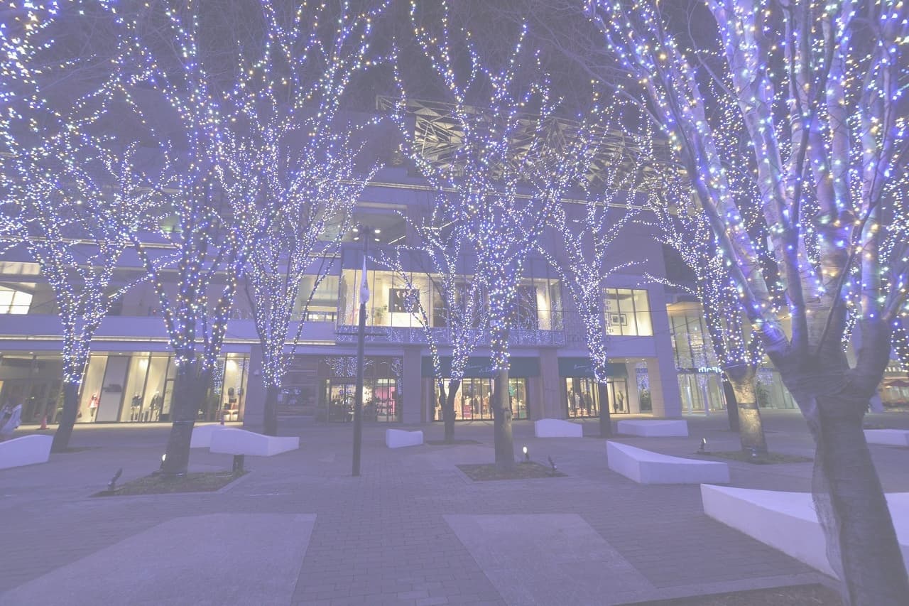 グランモール公園_湘南ロックガーデン