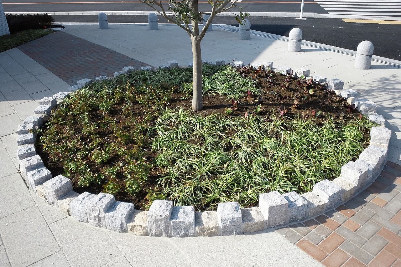 下河原公園_湘南ロックガーデン