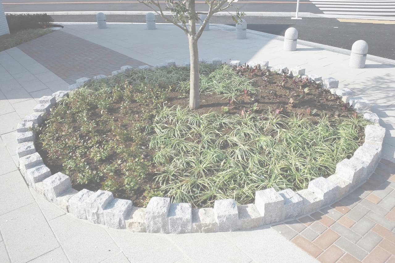 下河原公園_湘南ロックガーデン