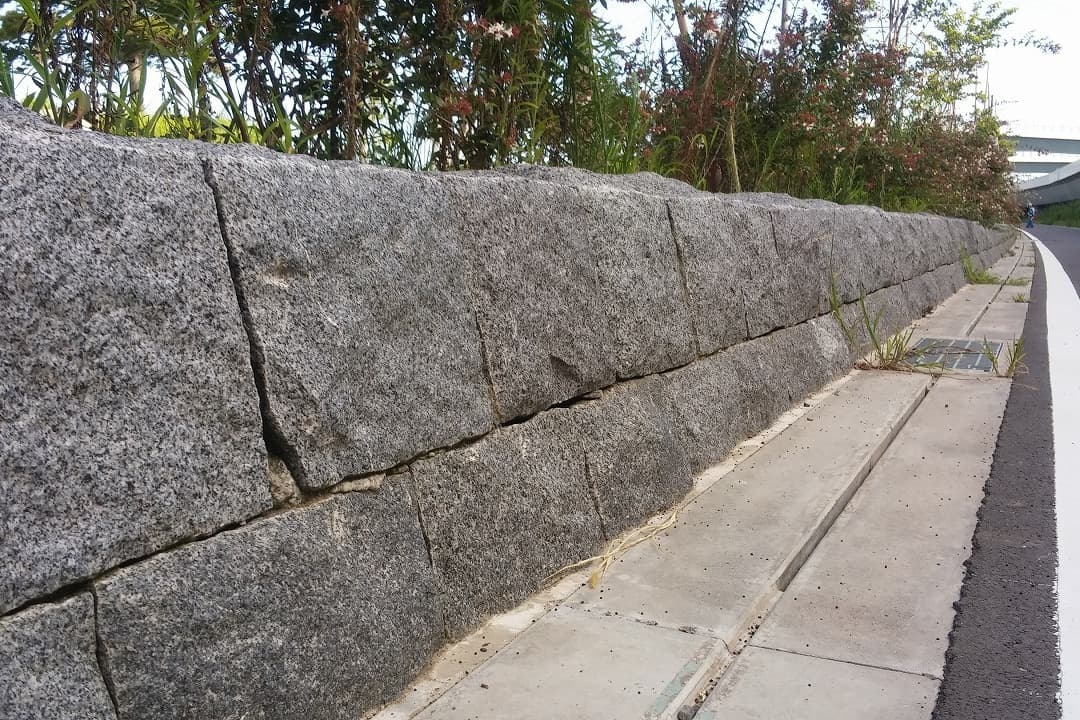 中野公園_湘南ロックガーデン