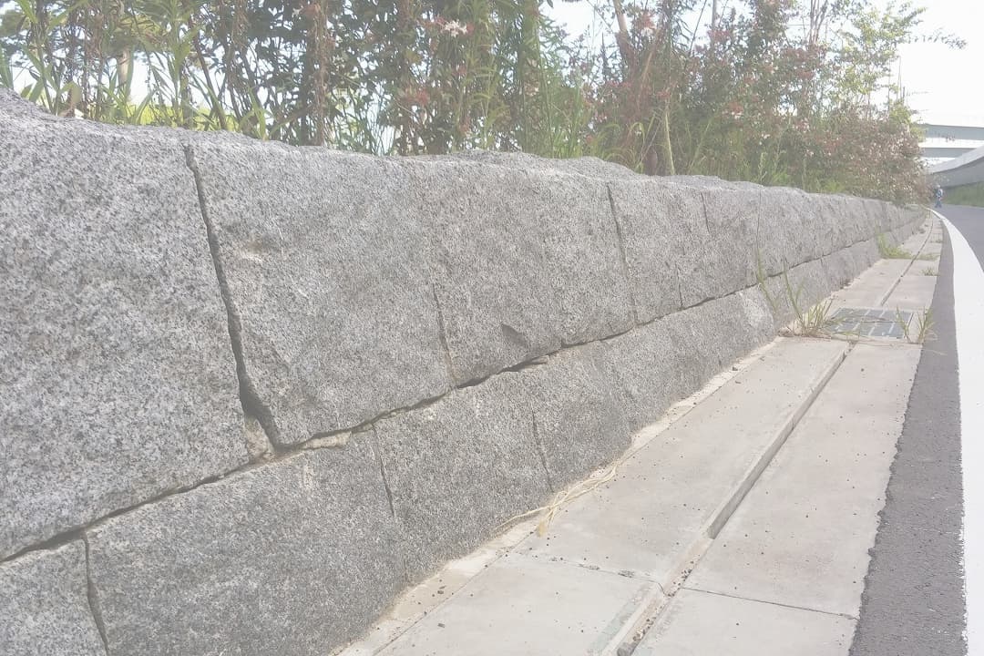 中野公園_湘南ロックガーデン