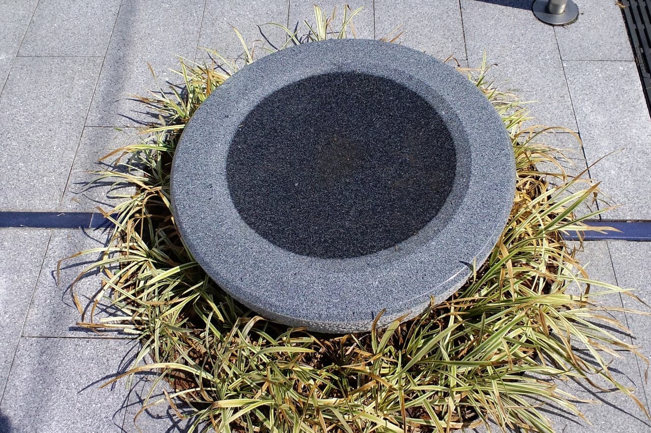 水元公園_湘南ロックガーデン