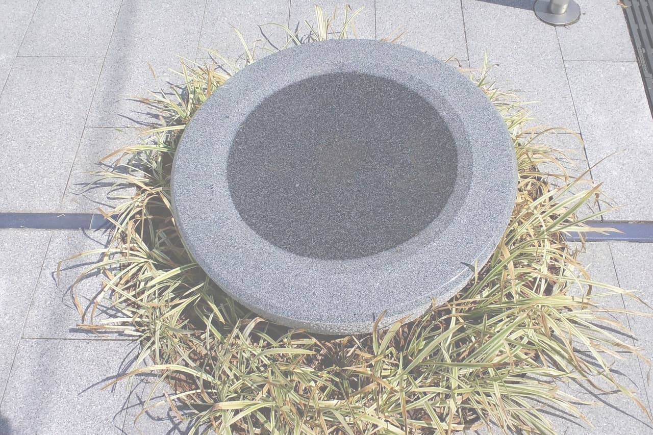 水元公園_湘南ロックガーデン