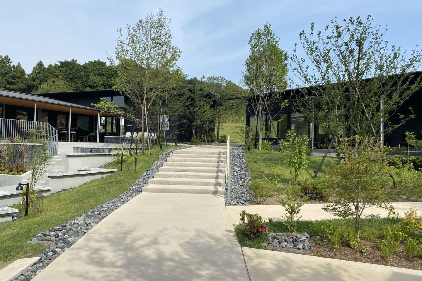 薬師池公園_湘南ロックガーデン