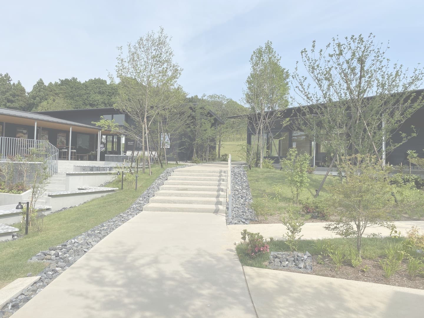 薬師池公園_湘南ロックガーデン