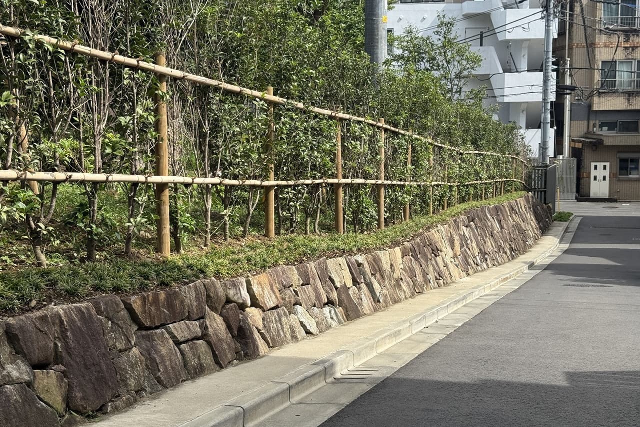 香山緑地_相木石_湘南ロックガーデン