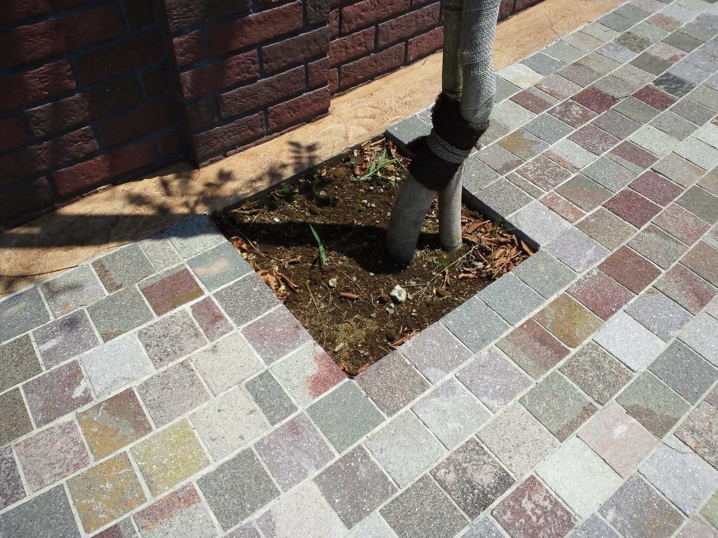 アンデルセン公園_湘南ロックガーデン