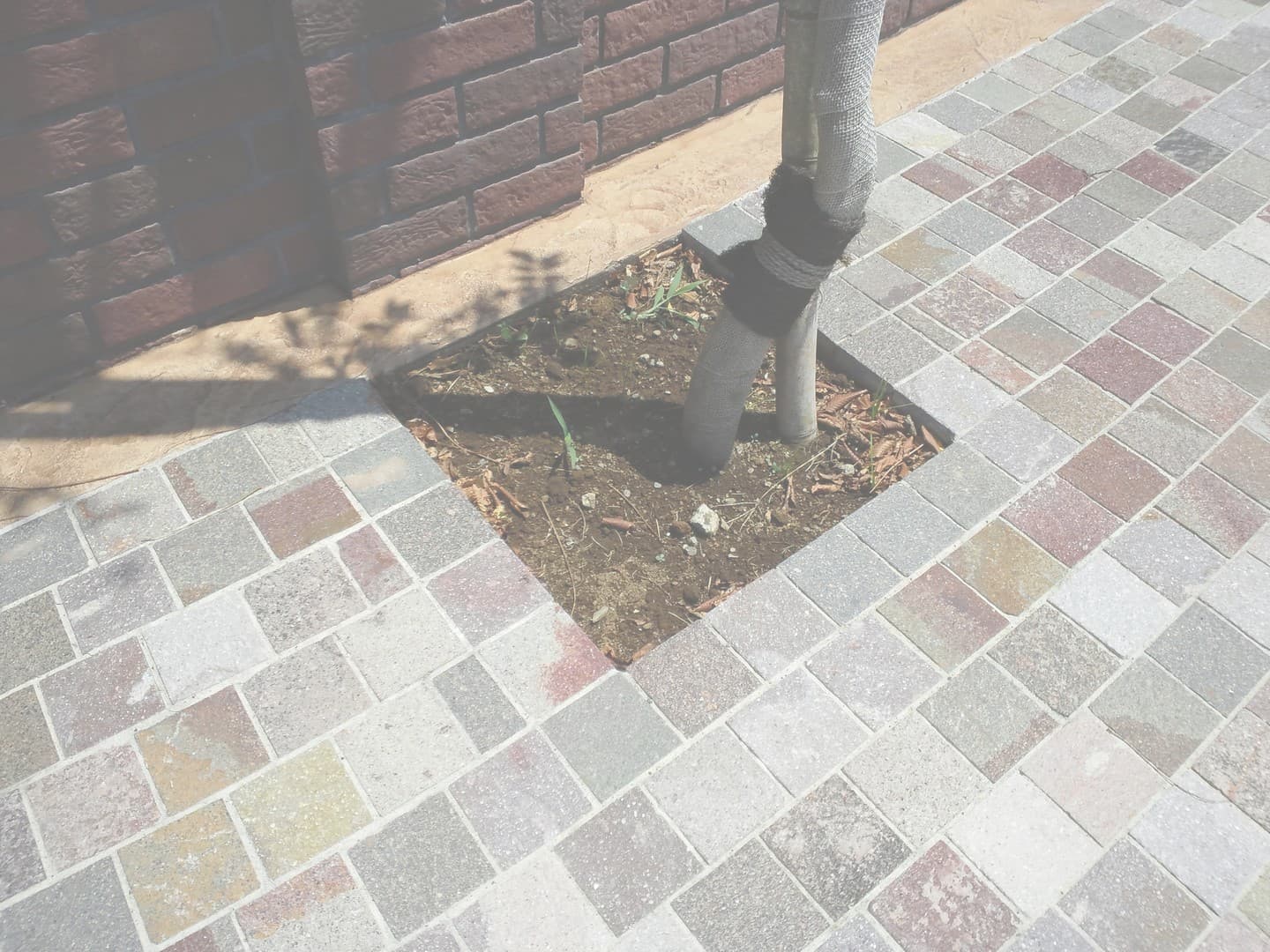 アンデルセン公園_湘南ロックガーデン