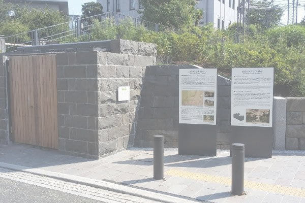 BLUFF99_湘南ロックガーデン