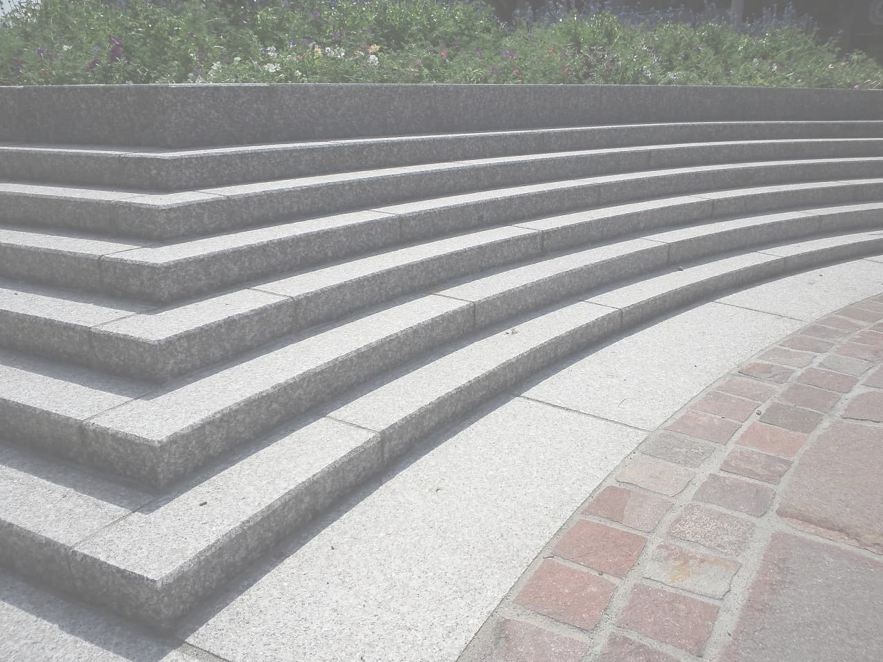 大通り公園_湘南ロックガーデン