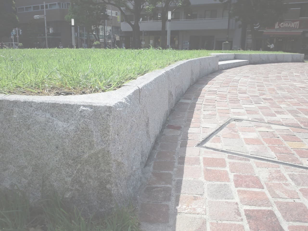 大通り公園_湘南ロックガーデン