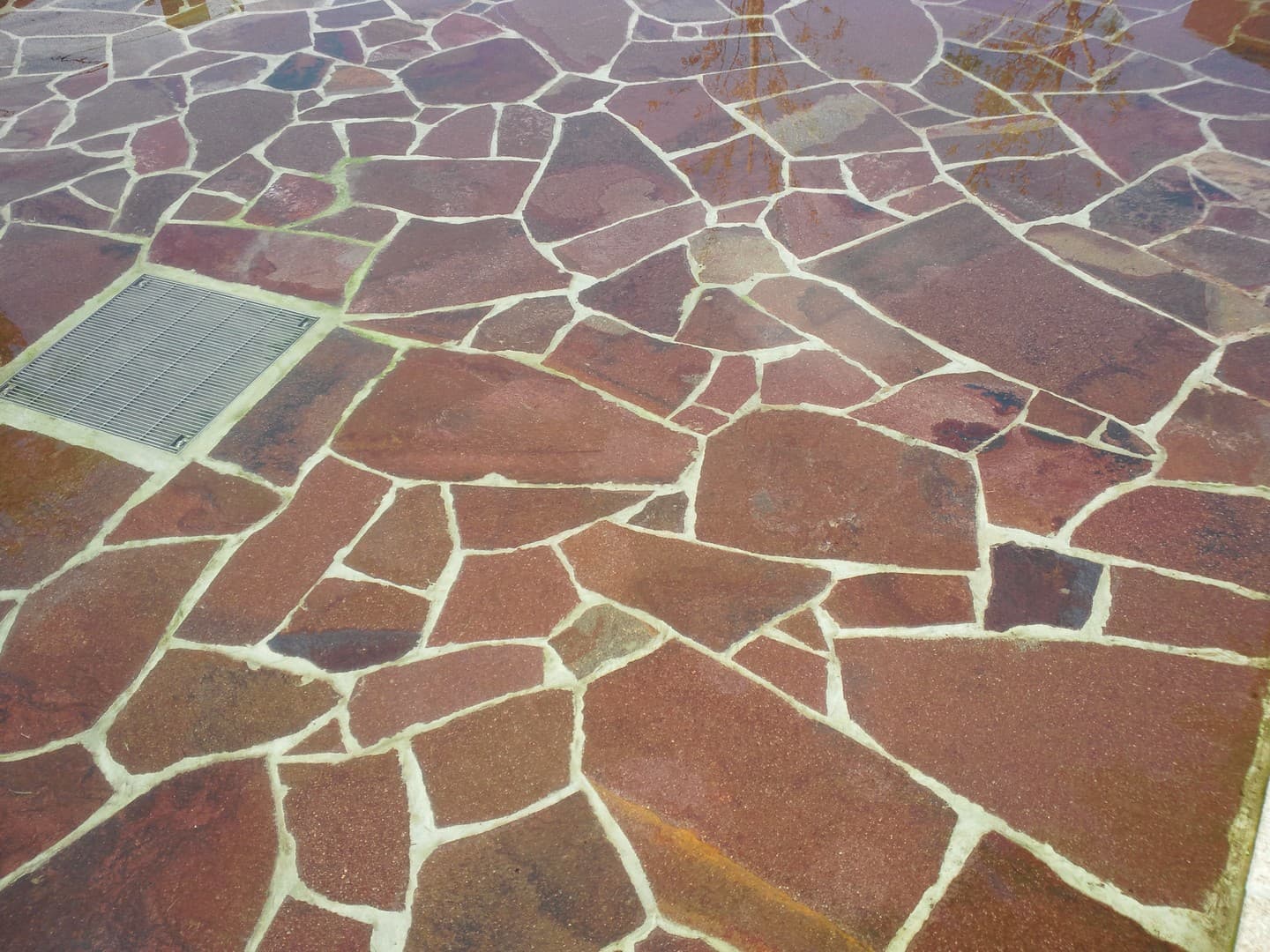 野火止用水公園_湘南ロックガーデン