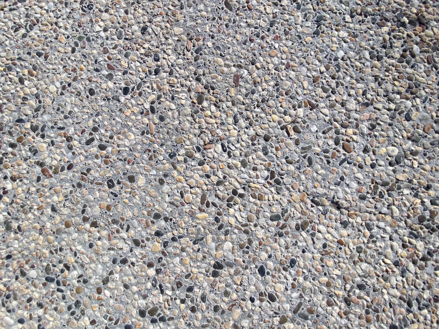 大前公園_湘南ロックガーデン